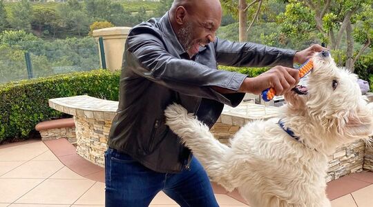 Mike Tyson vermogen bokser Pure Luxe