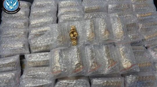 Amerikaanse douane nep Rolex horloges Pure Luxe