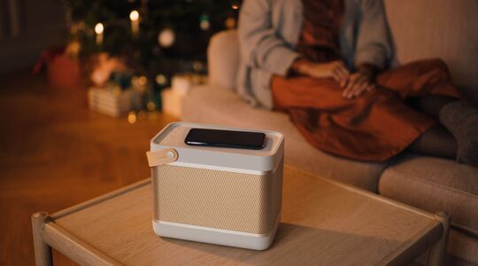 Bang & Olufsen Beolit 20 Bluetooth speaker Pure Luxe