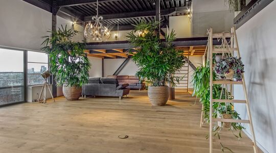 Illustratie voor: Deze ultra-hippe loft in Leiden staat te koop op Funda
