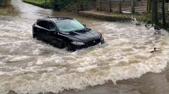 Jaguar