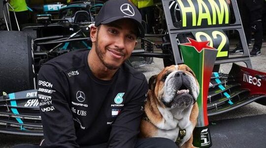 Illustratie voor: Dit bizarre salaris wijst Lewis Hamilton voor alsnog af