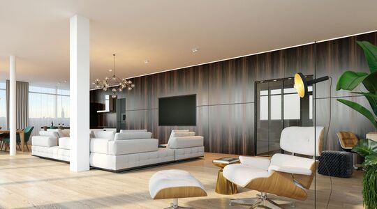 Den Haag penthouse
