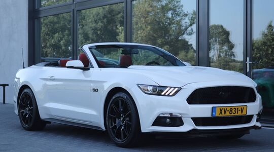 Mustang-1