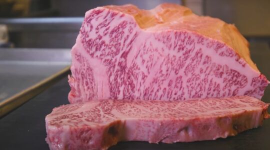 wagyu