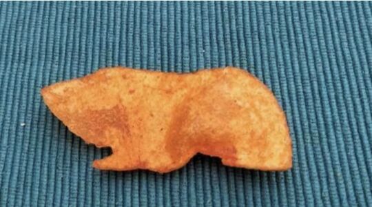 Paprikachipje cavia