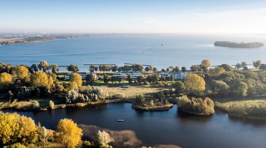 Gooimeer