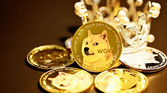 Shiba Inu