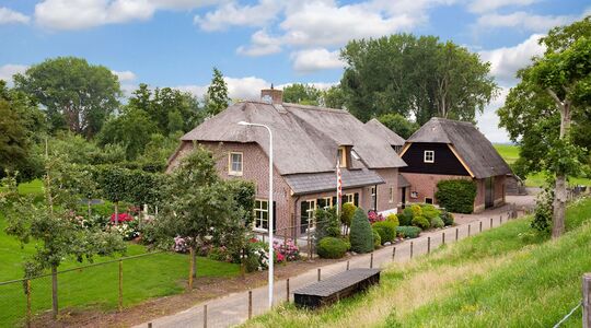 Alpaca-woonboerderij