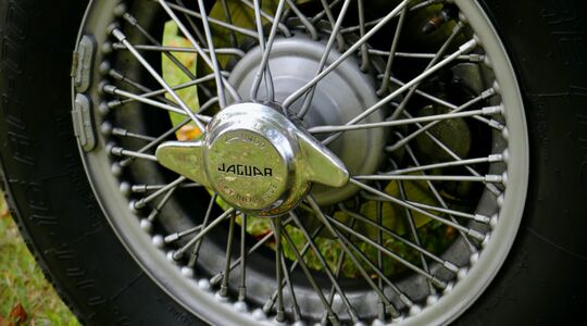 Jaguar
