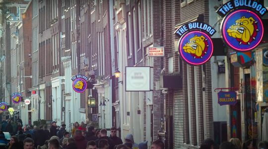 The Bulldog