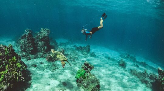 Snorkelen