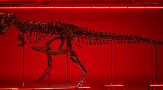 T.rex