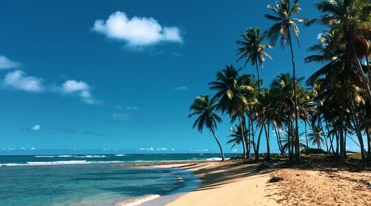 All-inclusive reizen