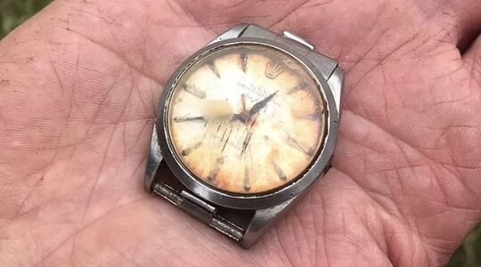 Rolex koe