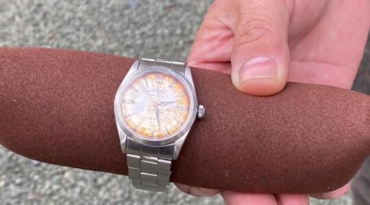 Rolex door ontlasting koe