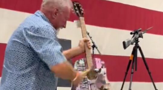 Taylor Siwft gitaar