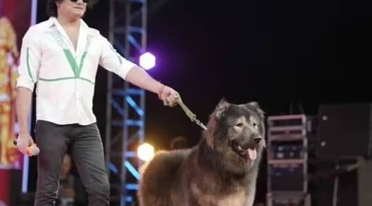 De duurste hond ter wereld met zijn nieuwe baasje uit India