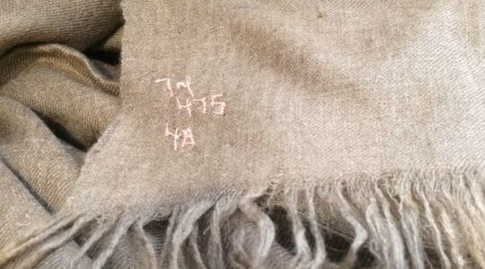 Pashmina, de duurste stof ter wereld, is tegenwoordig illegaal