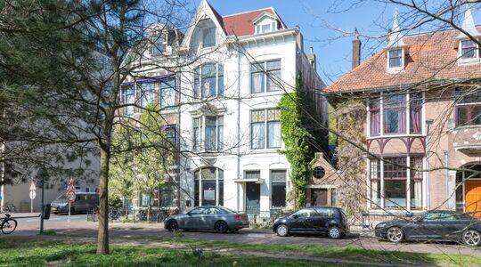 Het te koop staande huis van plezier in Haarlem