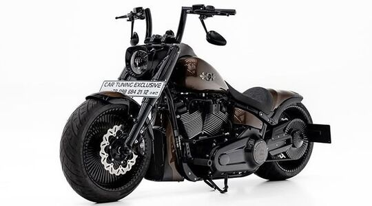 De custom Harley Davidson BOX39.