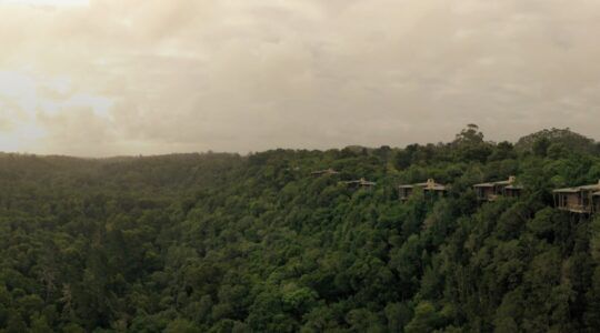 Tsala Treetop Lodge