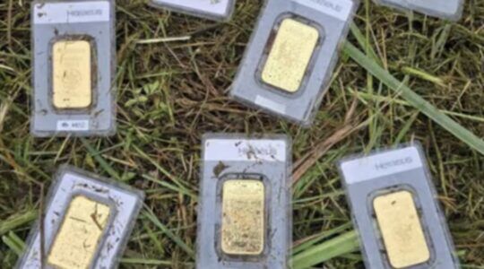 Een Duitse gemeentewerker heeft tijdens maaiwerkzaamheden voor € 30.000 aan goudstaven aangetroffen