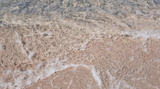 Zeezout voor je haar