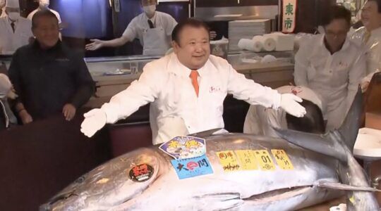 De tonijn die bij een veiling in Tokio € 2,8 miljoen opleverde