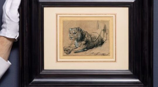 Een krijttekening van Rembrandt van Rijn levert bij Sotheby's-veiling recordbedrag van ruim € 12 miljoen op