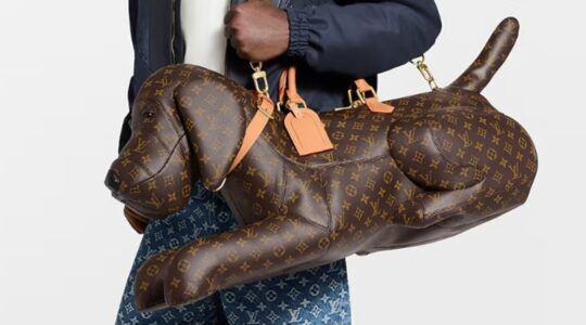 De Louis Vuitton XXL Dog Bag