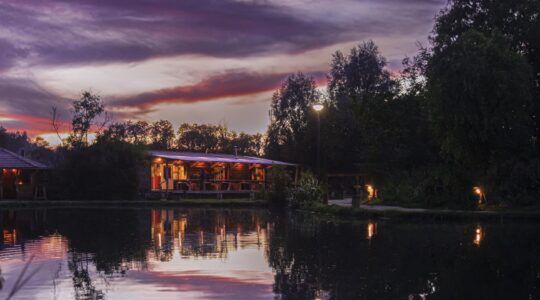41-jarige Nederlander bouwt miljoenenbedrijf vanuit één visvijver