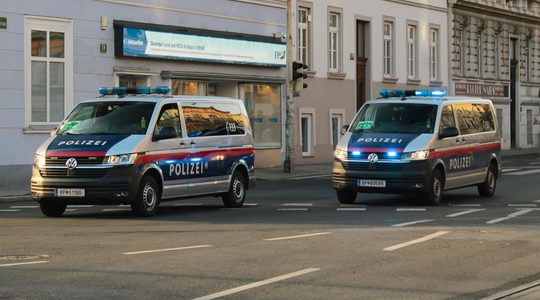 Diamanten halsketting met prijskaartje van miljoenen op klaarlichte dag buitgemaakt bij brutale roof op museum in Wenen