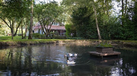 Geweldige Brabantse villa met verbluffende buitenruimte kost € 1.795.000