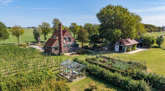 De woning met eigen wijngaard van boven